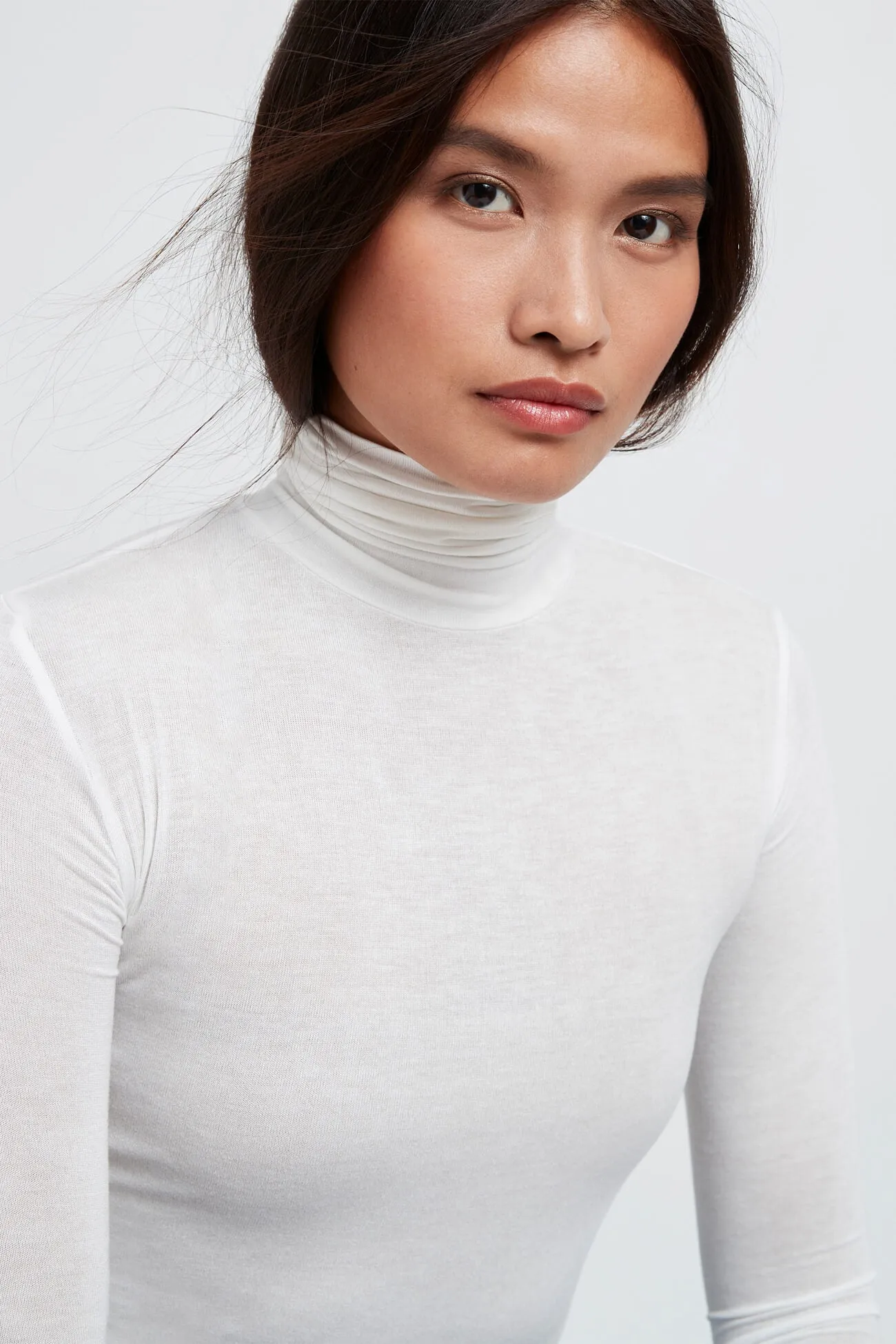 Eloise Sheer Turtleneck